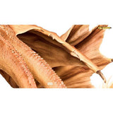 King Ghidorah 2019 (Titans of the Monsterverse, Spiral Studio)