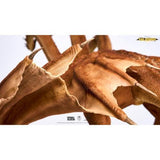 King Ghidorah 2019 (Titans of the Monsterverse, Spiral Studio)