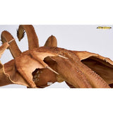 King Ghidorah 2019 (Titans of the Monsterverse, Spiral Studio)