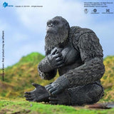 Kong, "Godzilla x Kong: The New Empire" (Hiya Toys) - Action Figure