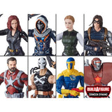Black Widow (Marvel Legends) Wave 1 - 8 Figures (Crimson Dynamo BAF)