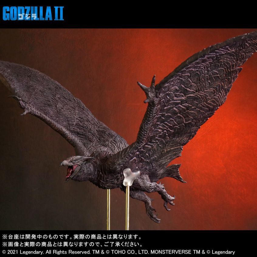 H&O サメ RODAN 出展ブース： H&O - 東京アウトドアショー2025（TOKYO OUTDOOR