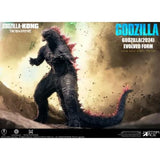 Godzilla Evolved, "Godzilla x Kong: The New Empire" (30cm series, Star Ace Toys) - Standard Version