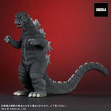 Godzilla 1974 (Large Monster series) - RIC-Boy Exclusive