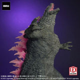 Godzilla Evolved, "Godzilla x Kong: The New Empire" (Large Monster Series) - RIC-Boy Exclusive (EARLY JAPAN RELEASE)