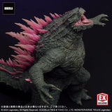 Godzilla Evolved, "Godzilla x Kong: The New Empire" (Large Monster Series) - RIC-Boy Exclusive (EARLY JAPAN RELEASE)