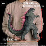 Godzilla Evolved, "Godzilla x Kong: The New Empire" (Large Monster Series) - RIC-Boy Exclusive (EARLY JAPAN RELEASE)