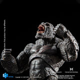 Kong, "Godzilla vs. Kong" (Hiya Toys) - Exquisite Basic Figure (2nd Run)
