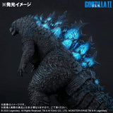 Godzilla 2019 (Large Monster Series) - RIC-Boy Light-Up Exclusive