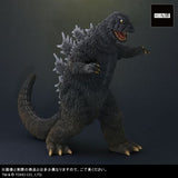 Godzilla 1965 & Rodan Set (Large Monster Series) - RIC-Boy Exclusive