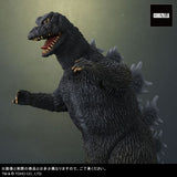 Godzilla 1965 & Rodan Set (Large Monster Series) - RIC-Boy Exclusive