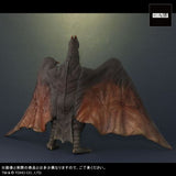 Godzilla 1965 & Rodan Set (Large Monster Series) - RIC-Boy Exclusive