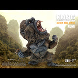 Kong - Skull Island (Deforeal Series)