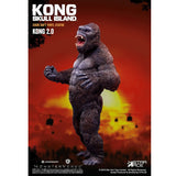 Kong 2.0 (32cm, 12-inch series, Star Ace Toys) - Standard US Version